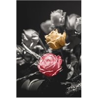 Портреты картины репродукции на заказ - Две стороны - Фотообои цветы|розы