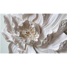 Картина на холсте по фото Модульные картины Печать портретов на холсте Крупный белый цветок - 3D фотообои|3D цветы