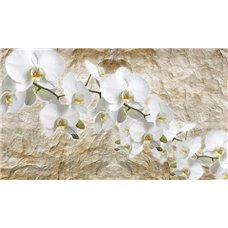 Картина на холсте по фото Модульные картины Печать портретов на холсте Ветви белых орхидей - 3D фотообои|3Д обои для зала
