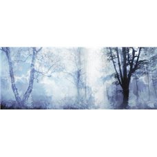 Картина на холсте по фото Модульные картины Печать портретов на холсте Туманный лес - Фотообои природа|лес