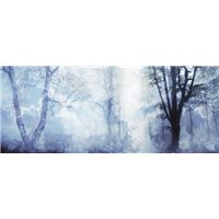 Портреты картины репродукции на заказ - Туманный лес - Фотообои природа|лес