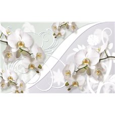 Картина на холсте по фото Модульные картины Печать портретов на холсте Белые цветы орхидеи - 3D фотообои|3D цветы