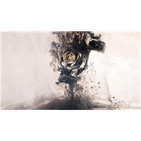 Портреты картины репродукции на заказ - Роза в дыму - Фотообои Креатив