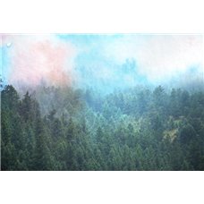Картина на холсте по фото Модульные картины Печать портретов на холсте Лес в горах - Фотообои природа