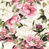Портреты картины репродукции на заказ - Пышные бело-розовые пионы - Фотообои цветы|пионы