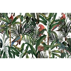 Картина на холсте по фото Модульные картины Печать портретов на холсте Попугаи и листья - Фотообои природа|деревья и травы