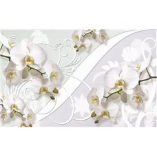 Картина на холсте по фото Модульные картины Печать портретов на холсте Белые объемные орхидеи - 3D фотообои|3D цветы