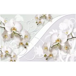 Белые объемные орхидеи - 3D фотообои|3D цветы - Модульная картины, Репродукции, Декоративные панно, Декор стен