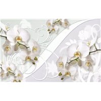Портреты картины репродукции на заказ - Белые объемные орхидеи - 3D фотообои|3D цветы