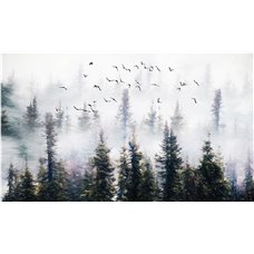 Картина на холсте по фото Модульные картины Печать портретов на холсте Птицы над лесом - 3D фотообои