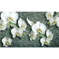 Орхидея на фоне каменной крошки - 3D фотообои - Модульная картины, Репродукции, Декоративные панно, Декор стен