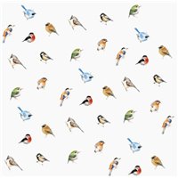 Птицы - Дизайнерские|Радионова