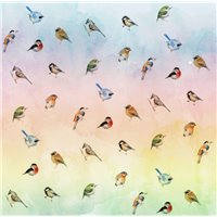 Радужные птицы - Дизайнерские|Радионова