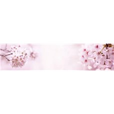 Картина на холсте по фото Модульные картины Печать портретов на холсте Цветение - Фотообои цветы|цветущие деревья