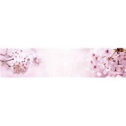 Цветение - Фотообои цветы|цветущие деревья - Модульная картины, Репродукции, Декоративные панно, Декор стен
