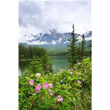 Картина на холсте по фото Модульные картины Печать портретов на холсте Озеро и деревья - Фотообои горы