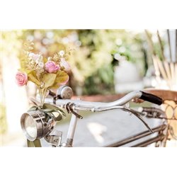 Букет на велосипеде - Фотообои цветы - Модульная картины, Репродукции, Декоративные панно, Декор стен