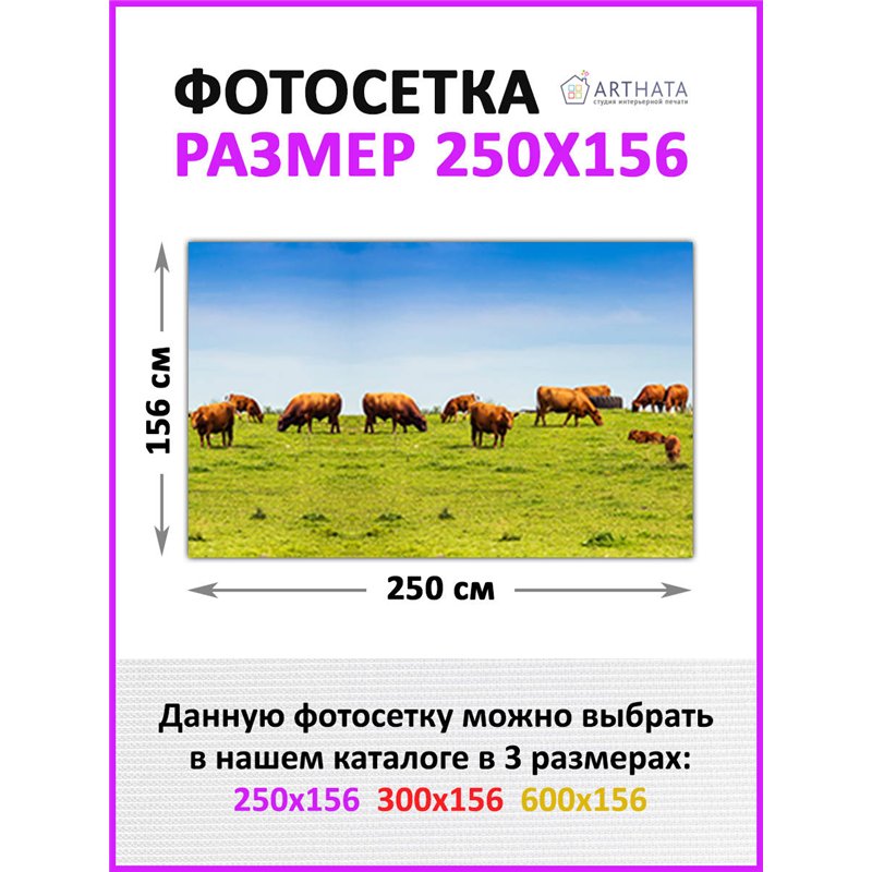 Фото сетка 2,5м. Фото Баннер для беседки, декоративная зелень для забора от ArtHata - легкий способ быстро украсить дачный участ