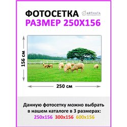 Фото сетка для забора 250x158. Фотосетка для беседки с рисунком - декоративная сетка для забора и беседки от ArtHata - легкий сп