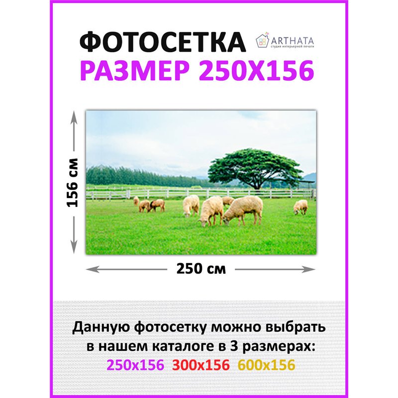 Фото сетка для забора 250x158. Фотосетка для беседки с рисунком - декоративная сетка для забора и беседки от ArtHata - легкий сп