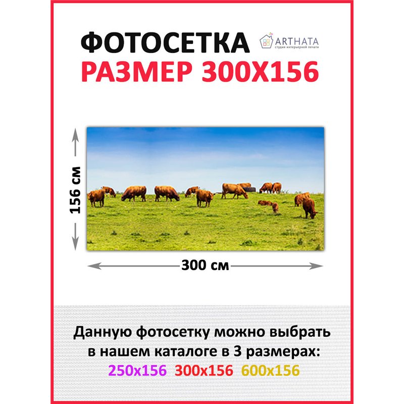Фото сетка 3м. Фото Баннер для беседки, декоративная зелень для забора от ArtHata - легкий способ быстро украсить дачный участок