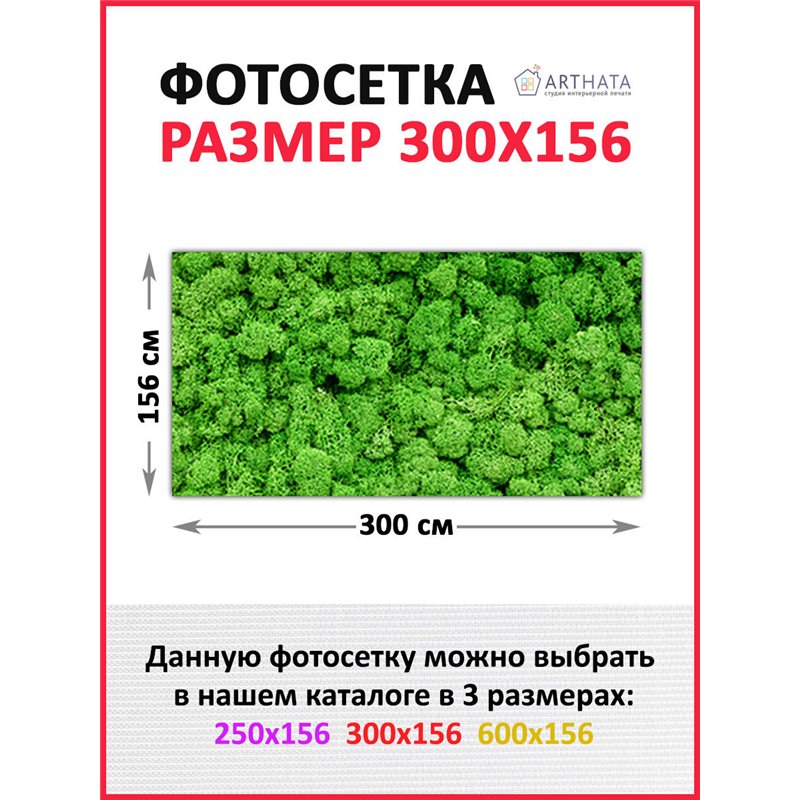 Фото сетка для забора 300*158 - легкий способ быстро украсить сад и дачу. Люверсы в комплекте