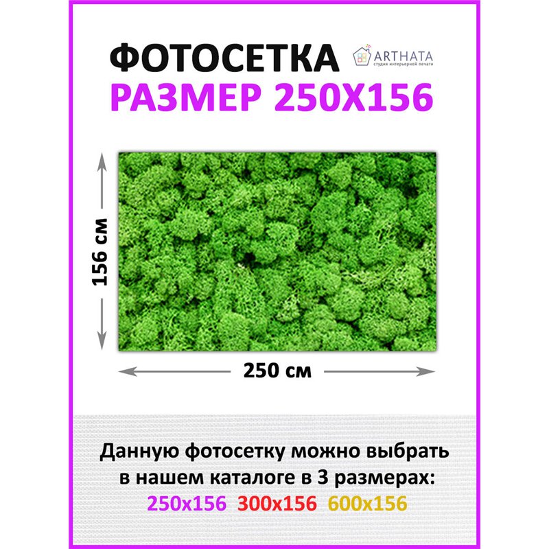 Фото сетка для забора 250*158 - легкий способ быстро украсить забор для сада. Люверсы в комплекте