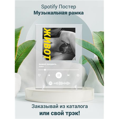 вышел покурить - живот - постер Spotify