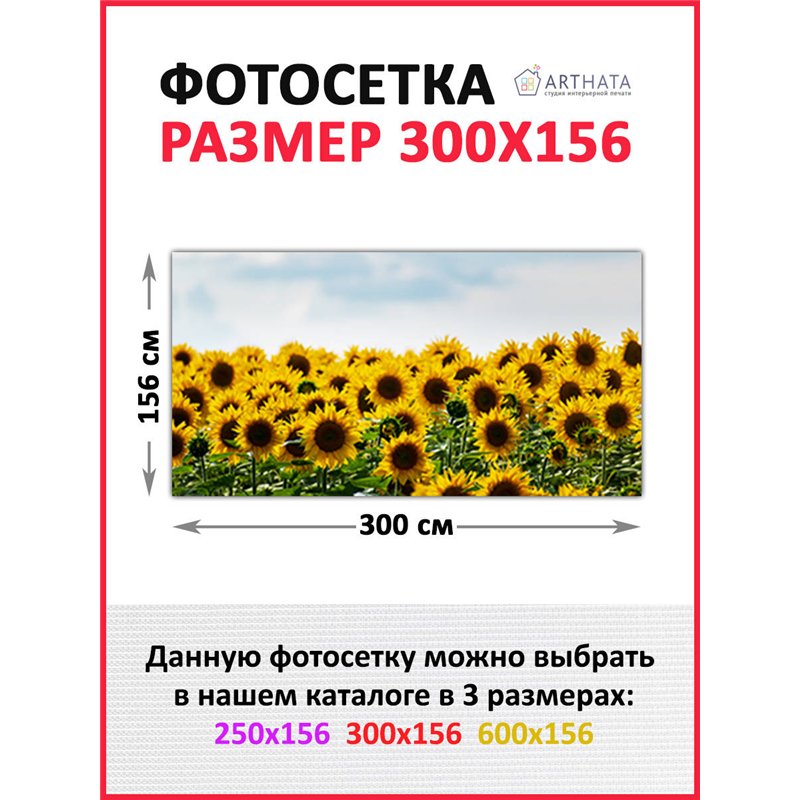 Фотосетка на забор 300*158. Фото сетка для забора на дачу - декоративные баннеры от ArtHata - легкий способ быстро украсить учас