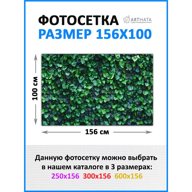 На забор фотосетка 1.56 м - легкий способ быстро украсить дачу. Люверсы в комплекте