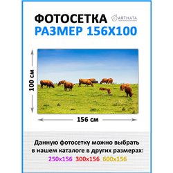 Сетка декоративная на забор 156х100 см - легкий способ быстро украсить сад и огород. Люверсы в комплекте