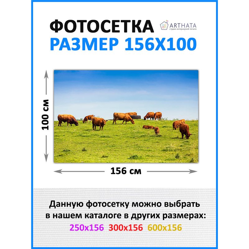 Сетка декоративная на забор 156х100 см - легкий способ быстро украсить сад и огород. Люверсы в комплекте