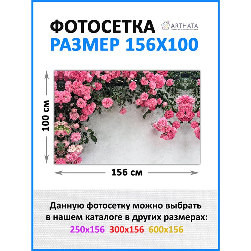 Декор для забора фотофасад 156х100 - легкий способ быстро украсить дачный участок. Люверсы в комплекте