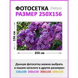 Фотосетка для забора 250х158см. Декоративная фотосетка для дачи и беседки с рисунком от ArtHata - легкий способ быстро украсить 