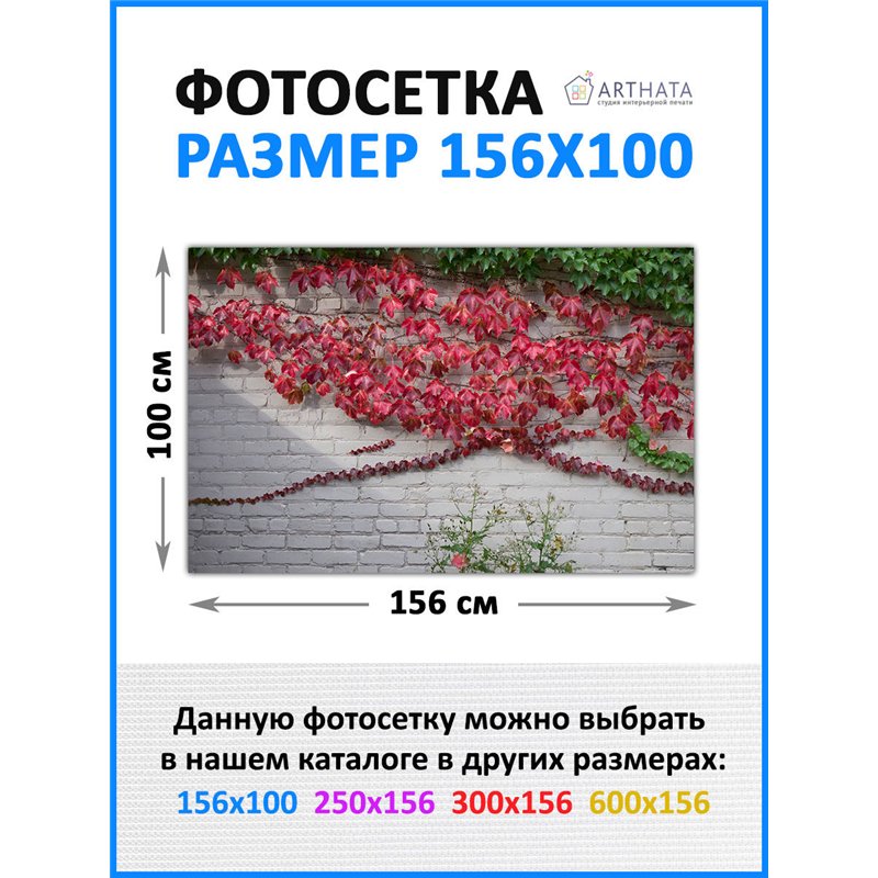 На забор фотосетка 156х100 см. фотосетка для беседки с люверсами, сетка с рисунком на забор для дачи от ArtHata - легкий способ 