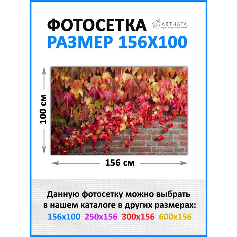 Фотофасад для дома 156*100 - легкий способ быстро украсить дачный участок. Люверсы в комплекте