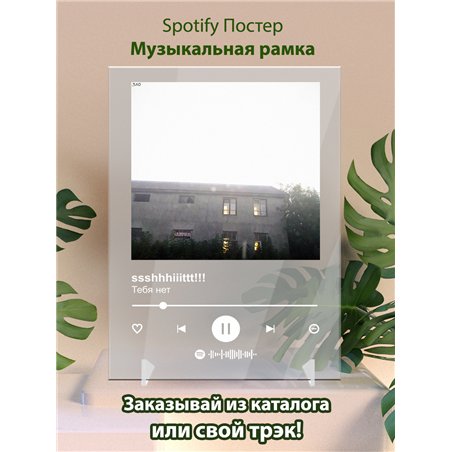 ssshhhiiittt!!!-Тебя нет - постер Spotify