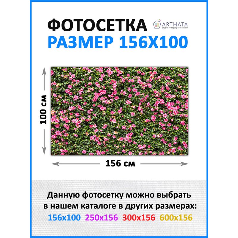 Декор для забора фотофасад 156х100 - легкий способ быстро украсить забор на даче. Люверсы в комплекте