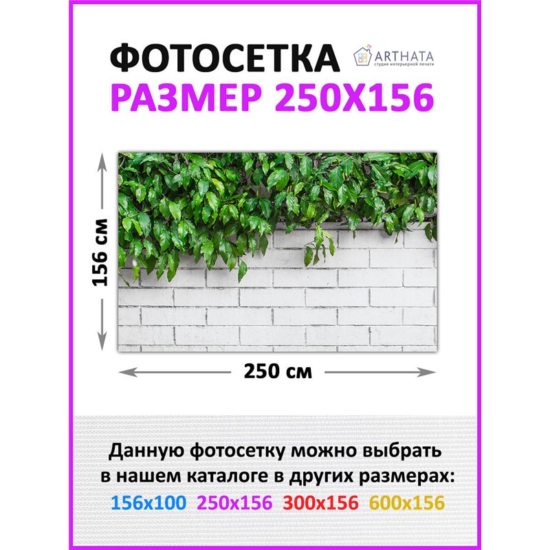 Фотосетка на забор 250*158 - легкий способ быстро украсить забор для сада. Люверсы в комплекте