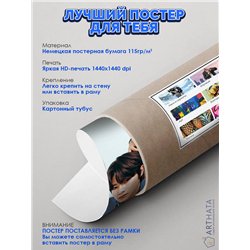 Постер, плакат интерьерный 40x60см - Stray Kids
