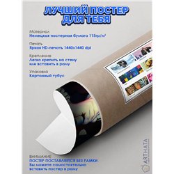 Постер, плакат интерьерный 40x60см - Korol i Shut