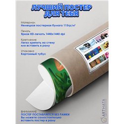 Постер, плакат интерьерный 40x60см - Pullman