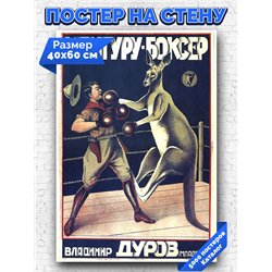 Постер, плакат интерьерный 40x60см - Kangaroo Boxer