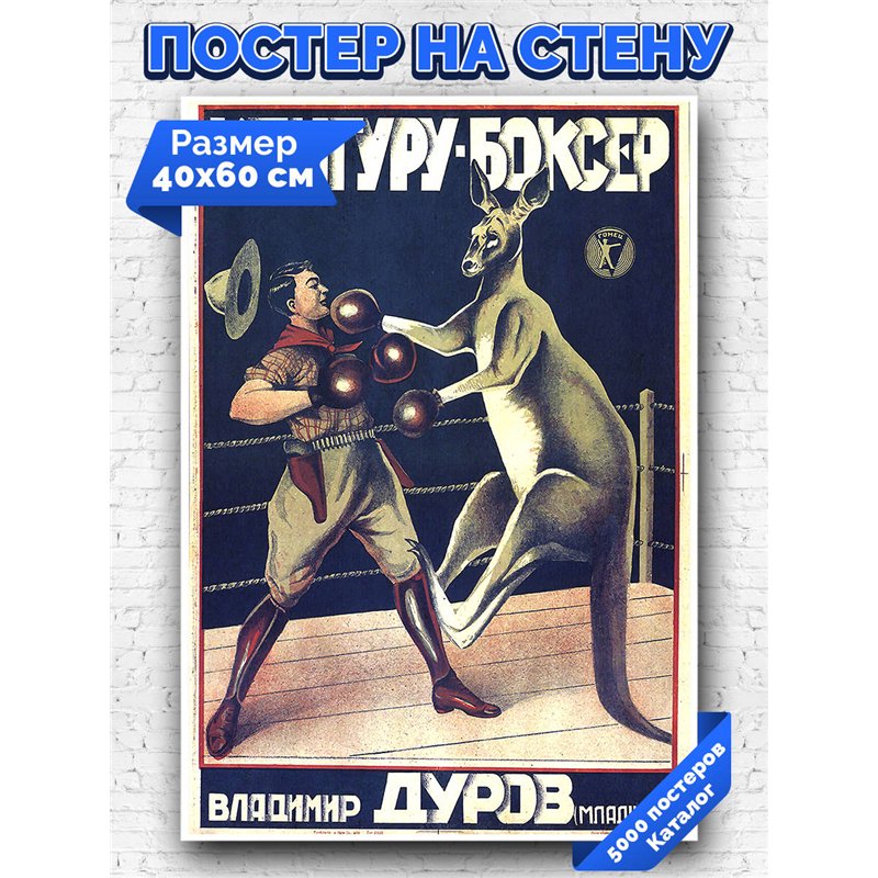 Постер, плакат интерьерный 40x60см - Kangaroo Boxer