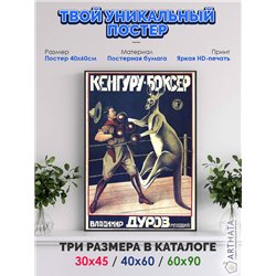 Постер, плакат интерьерный 40x60см - Kangaroo Boxer