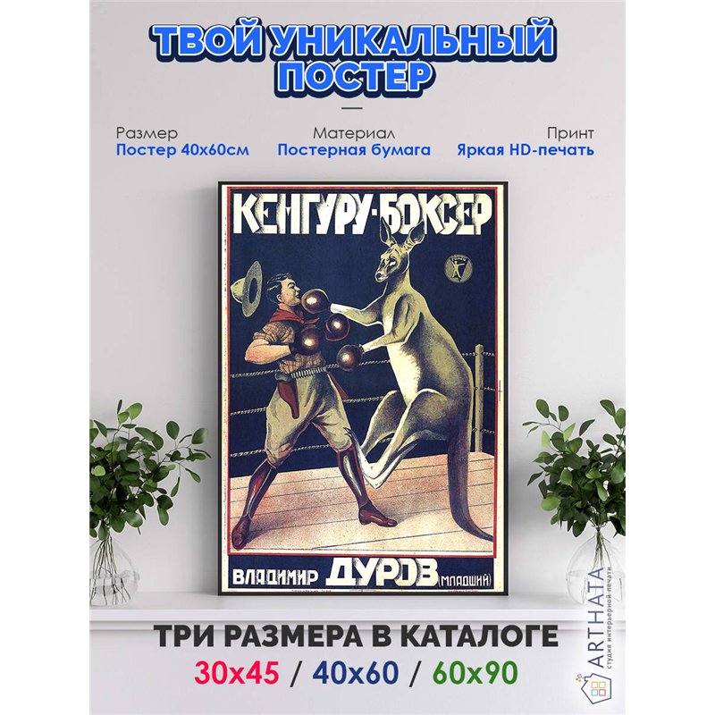 Постер, плакат интерьерный 40x60см - Kangaroo Boxer