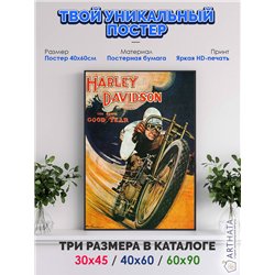 Постер, плакат интерьерный 40x60см - Harley Davidson