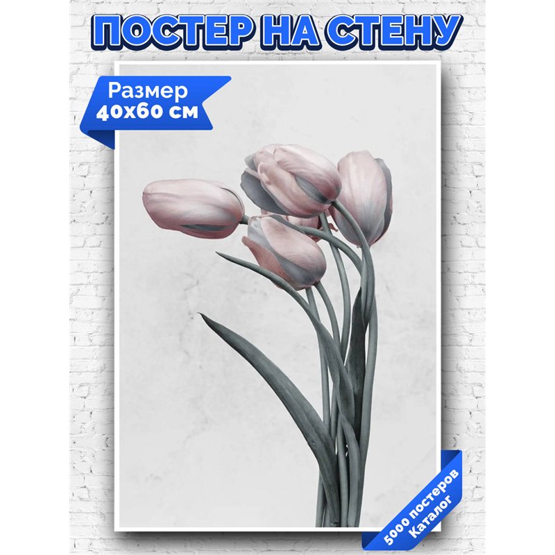 Постер, плакат интерьерный 40x60см - Tulips