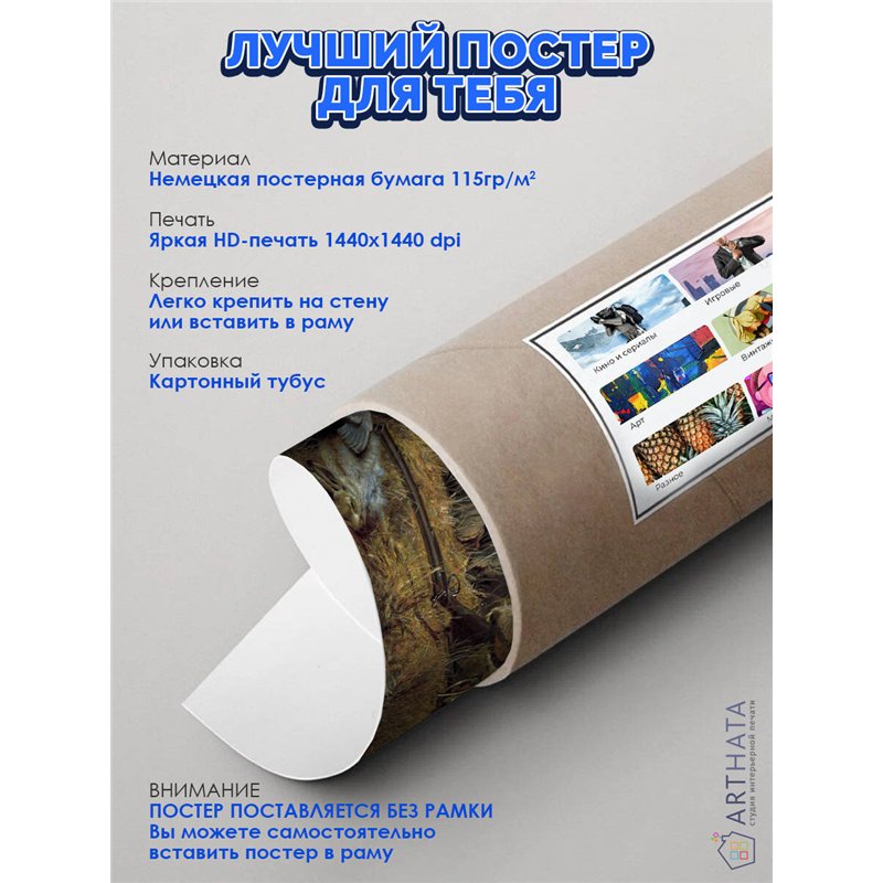 Постер, плакат интерьерный 40x60см - Perov