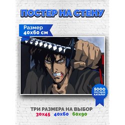Постер, плакат интерьерный 40x60см - Ninja Scroll